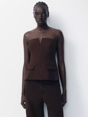 Zara Brown Strapless Bustier Top